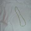 dsc00071_1324684897