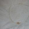 dsc00077