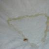 dsc00081