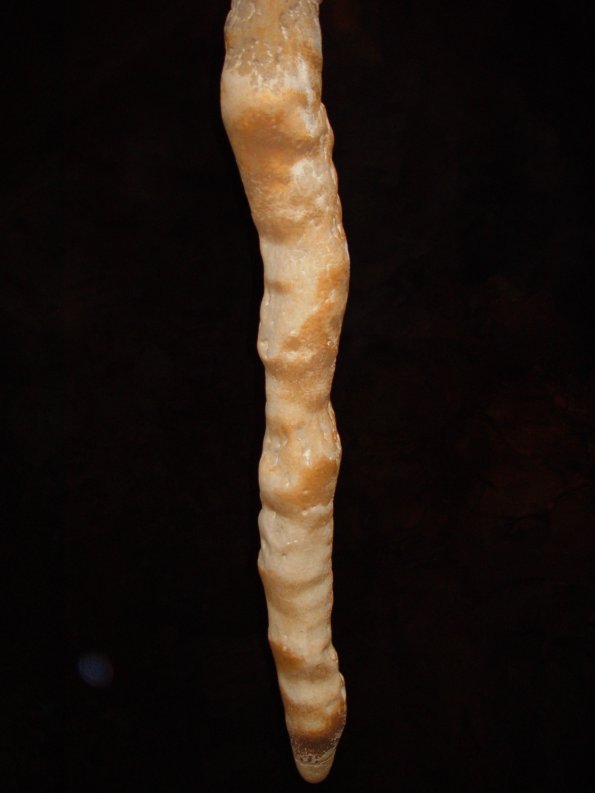 Carlsbad_Cave_formation_Spookie_finger