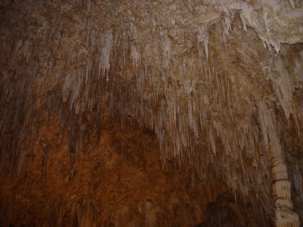 Carlsbad_Caverns_Cave_formation_Ceiling