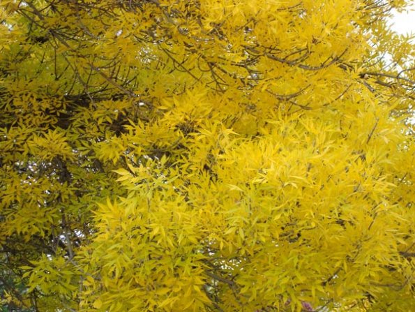 DSC03394
