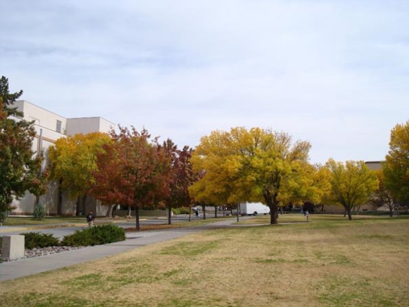 DSC03413