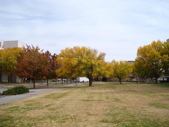 DSC03414