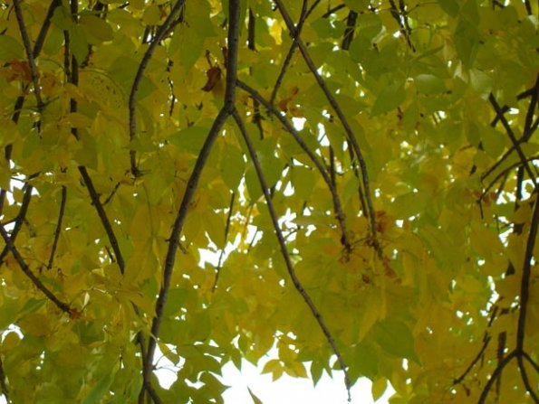 DSC03548