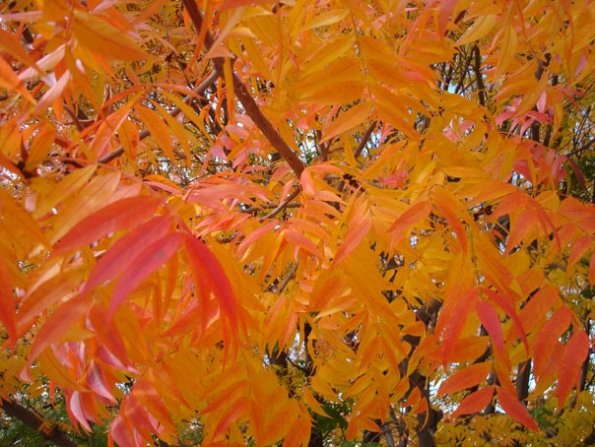 DSC03860