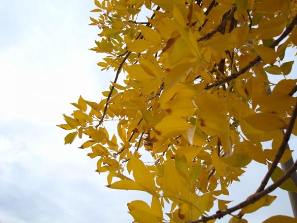 DSC04014