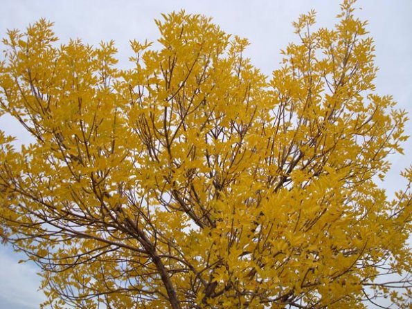 DSC04032