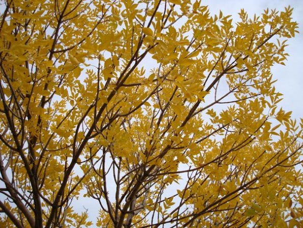 DSC04039