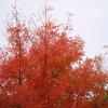 DSC04060