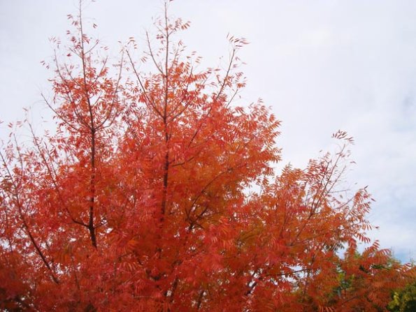 DSC04060