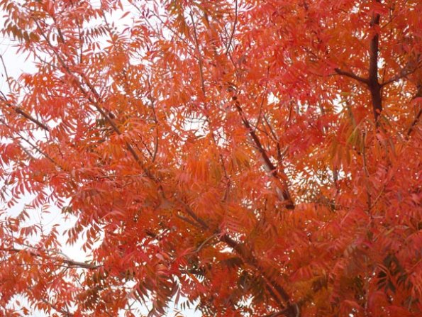 DSC04062