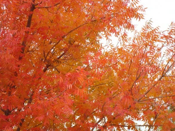 DSC04070