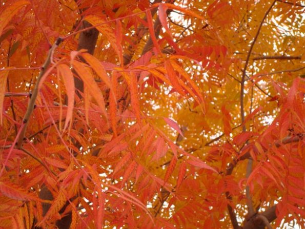DSC04090