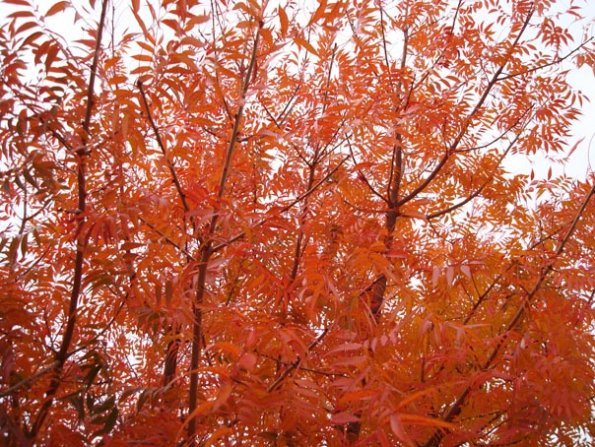 DSC04104