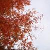 DSC04109