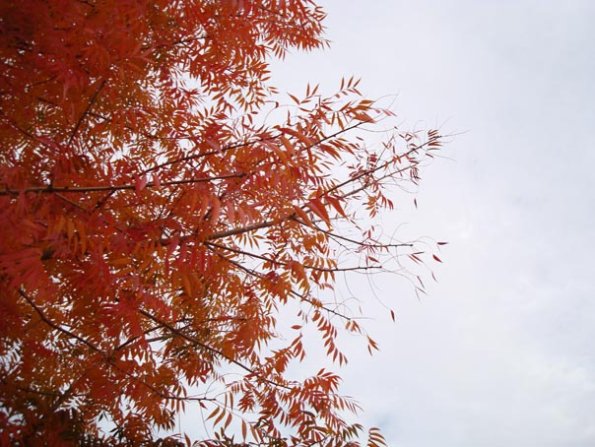 DSC04109