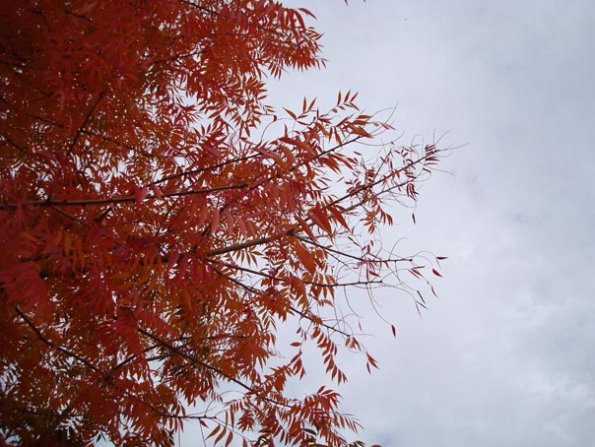 DSC04110
