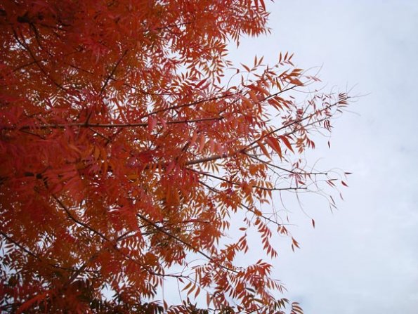 DSC04113
