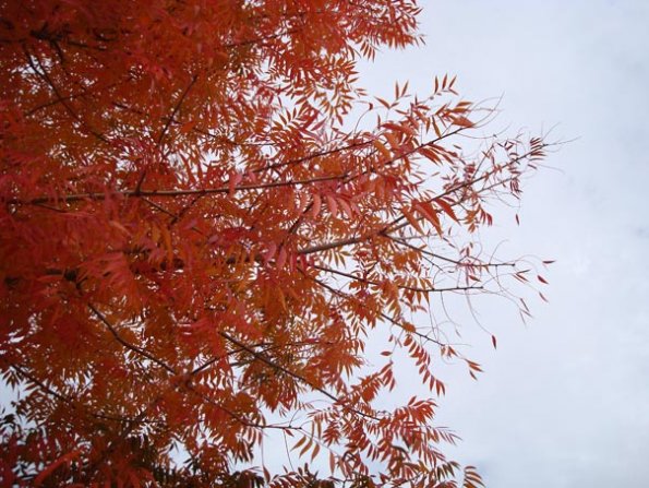 DSC04114