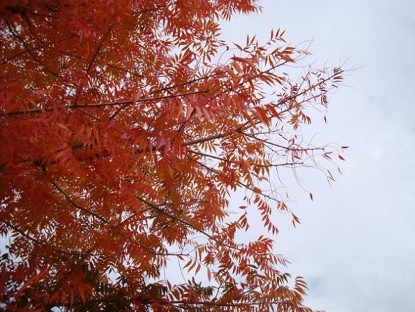 DSC04116