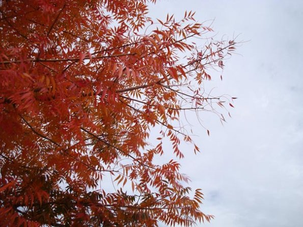 DSC04119