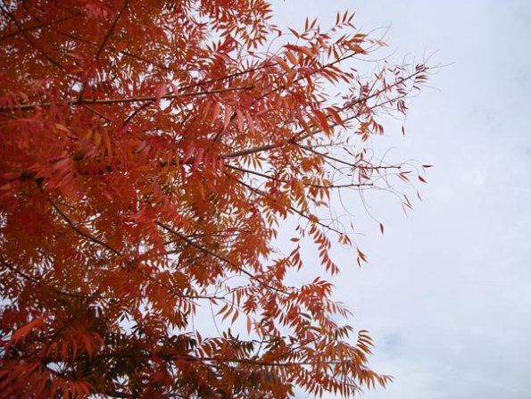 DSC04120