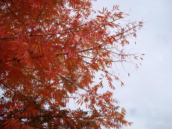 DSC04121