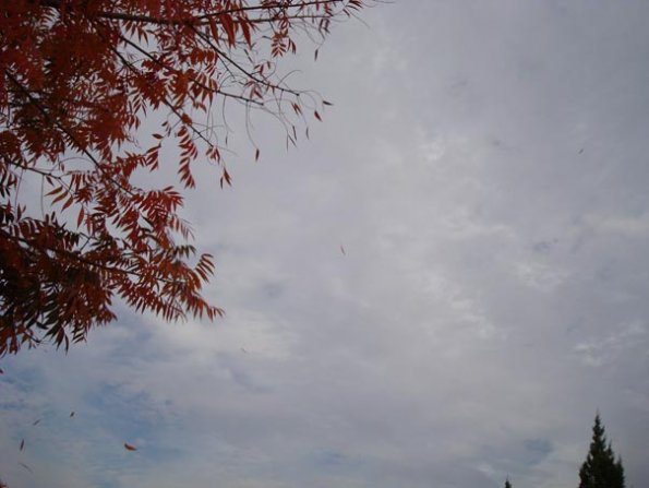 DSC04135