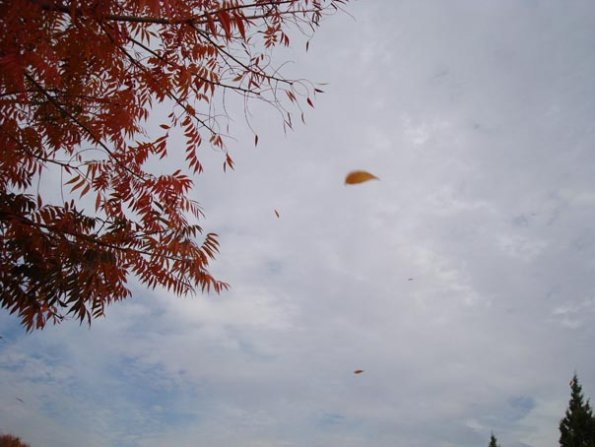 DSC04136