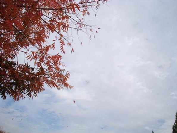 DSC04138
