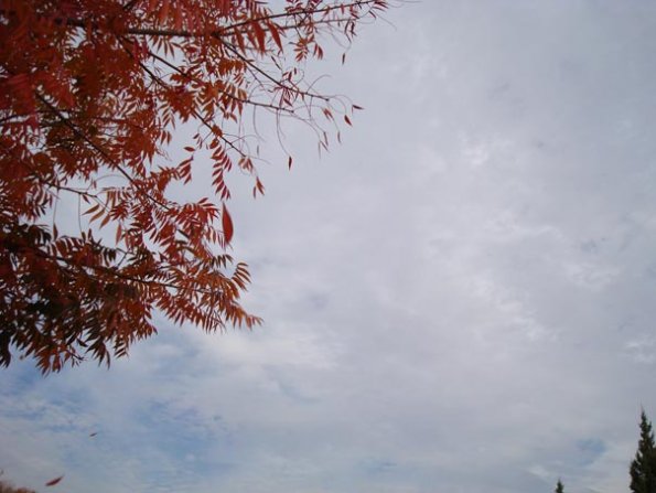 DSC04139