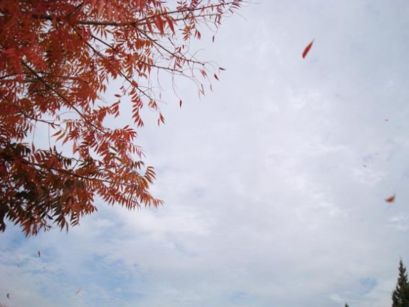 DSC04140