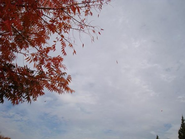 DSC04141