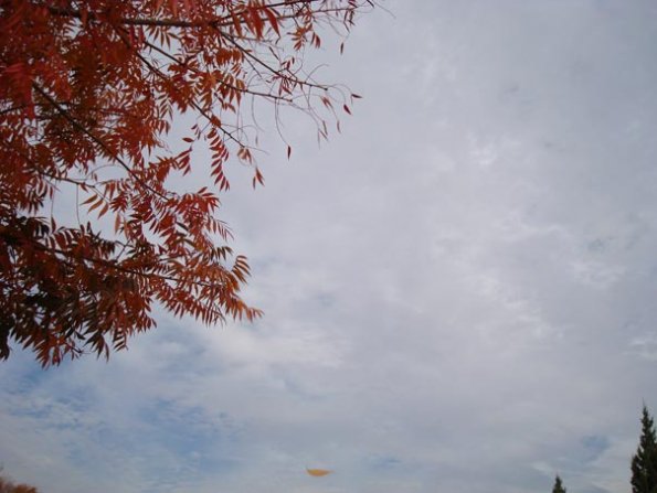 DSC04142