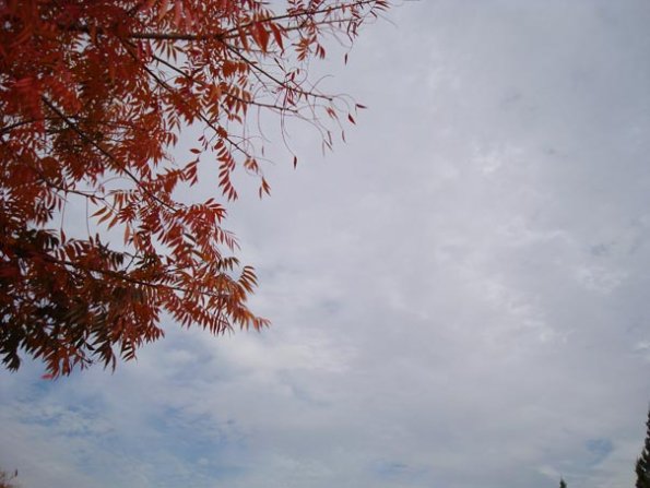 DSC04143