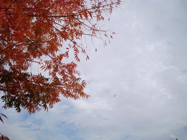 DSC04144