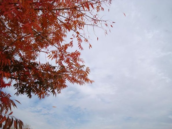 DSC04145