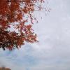 DSC04146