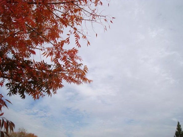 DSC04146
