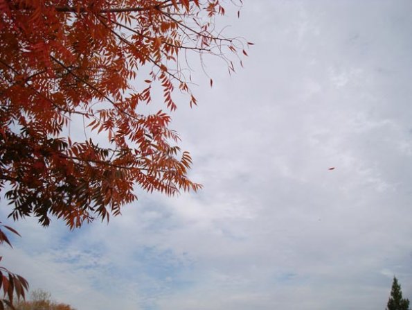DSC04147