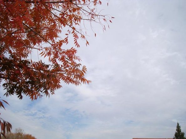 DSC04148