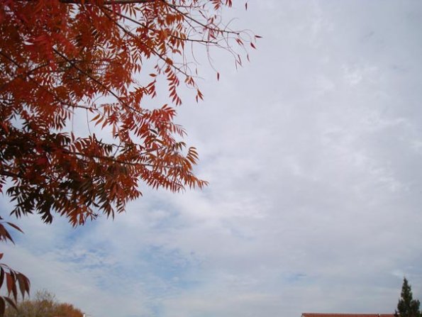 DSC04149