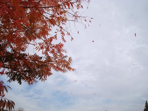 DSC04150