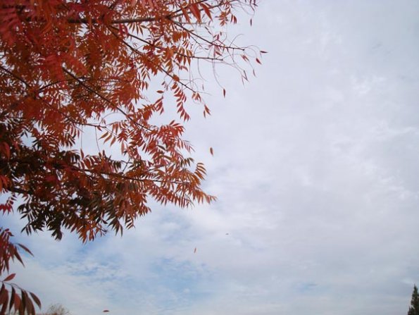 DSC04151