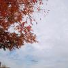 DSC04152