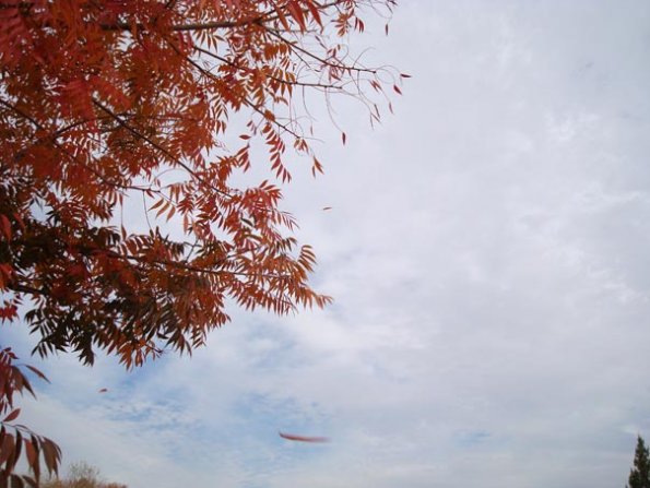 DSC04152