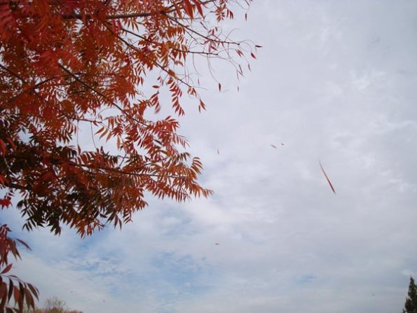 DSC04153