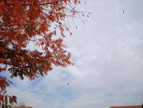 DSC04159