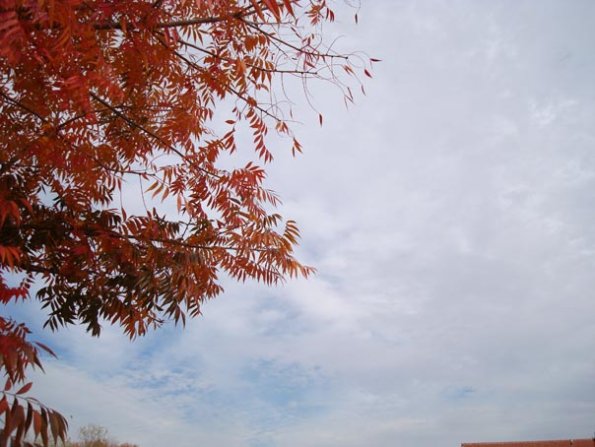 DSC04160